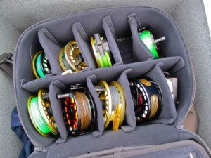 Lots of fly fishing line