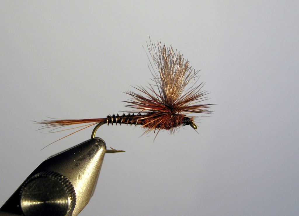 Best Knot for Tying: Fly to Tippet - Fly Fishing Lines