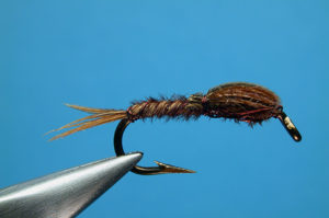 Basic Pheasant Tail Nymph