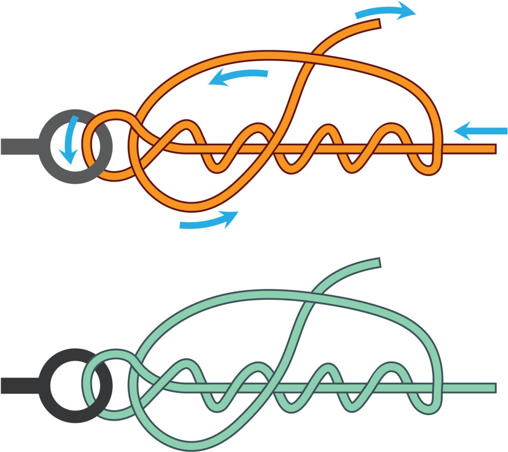 Best Knot for Tying: Fly to Tippet - Fly Fishing Lines